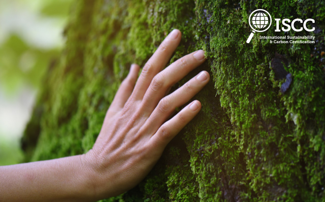 ISCC IMPACT REPORT THUMBNAIL